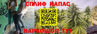 apvp Долгопрудный