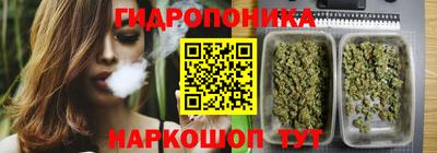 apvp Долгопрудный